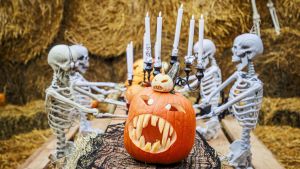 Perhe | Kieltäydyn juhlimasta halloweenia