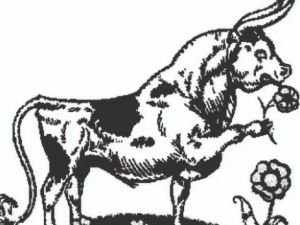 Hold Your Horses, Bulls Will Come: What should investors do as oil prices, AI frenzy weigh on Indian stock market