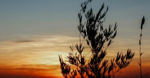 Finding the Tailwinds That Help Us Move Forward