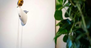 Kelly Clarkson ruffles feathers with an online feud over a $15,000 mechanical bird