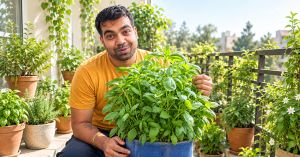 Army Major-Turned-Gardener Shares 6 Easy Steps to Grow Fresh Basil in a Small Pot at Home