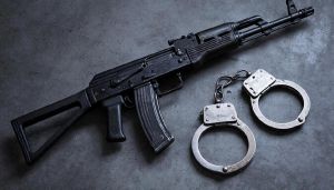 Пристрелили кота и пообещали свидетельнице расчленить ее, если она об этом заявит
