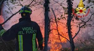 Custodi del verde: la regia istituzionale che prepara il domani
