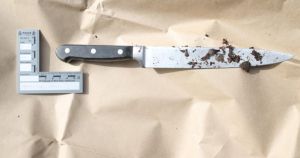 Revealed: Huge knife boy, 16, used to stab girl in the back at Norfolk school