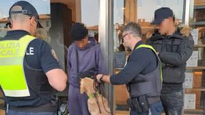 Offende i vigili durante un controllo a Treviso: ha 13 anni, non è imputabile