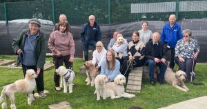 Dogs saved in one of RSPCA's biggest rescues reunited at poodle party