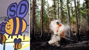 SD-väljare påverkas mindre av skogsbränder