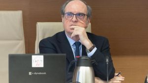 El Defensor del Pueblo recurre ante el TC la suspensión del voto de los nacionalizados por la 'ley de nietos'