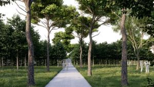 Approvato il progetto del Parco Centrale. Ora prende forma il bosco in città