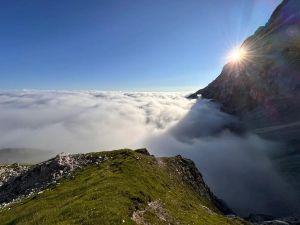 (NA ZRAKU) Kolumna Matevža Lenarčiča: Krasni novi svet