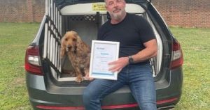 Council wins top RSPCA award for stray dog welfare