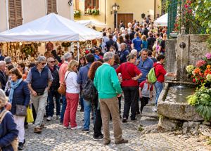 Sagra della castagna di Nomaglio, tutti gli appuntamenti