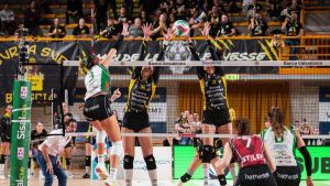 Megabox, gli artigli delle Tigri su Brescia. Grande rimonta e terza vittoria consecutiva