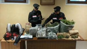 Blitz dei carabinieri a Verzegnis: sequestrati 9 kg di marijuana, arrestato un uomo di 36 anni