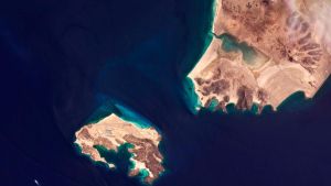 The Saudi strait-jacket that has bound the world