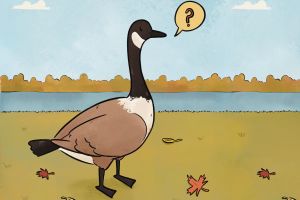 News To Me – Ruffled feathers