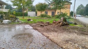 Giardino pubblico nel degrado: il gruppo dei pensionati paga per sistemarlo