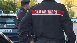 Cinque piante di marijuana nel giardino di casa a Porcia: denunciato