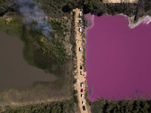 Greenwashing and regulatory avoidance in the leather industry