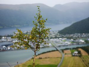 Tanker om høsten