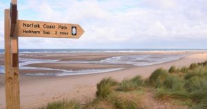 The dog-friendly beach which has been named best more times than you can count