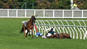 Why the inquiry into Caulfield Cup horse death must be made public