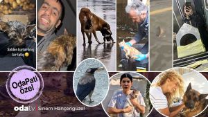 Sel felaketinin sessiz kurbanları: Can dostları için canını hiçe sayanlar