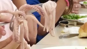 Gorizia, protesta dei genitori: «Alla scuola Pecorini servito cibo non cotto»
