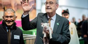 Der glückliche Parmelin