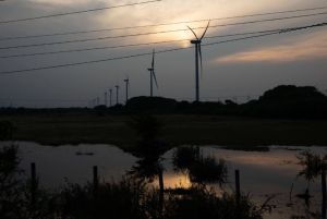 Las controvertidas renovables: la quinta