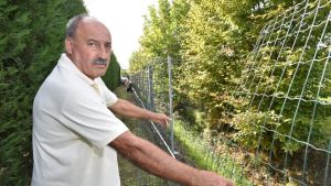 Tentano il furto sfondando a mazzate una finestra, ma i proprietari sono in casa: «Abbiamo sentito i colpi»