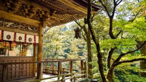 Japón: ser feliz trabajando más que nadie