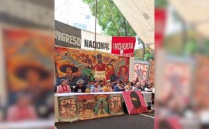Congreso Nacional Indígena, bordando luchas