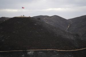 Elecciones legislativas en EU y agenda ambiental