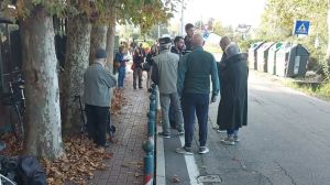 «No al taglio dei pioppi», vincono i cittadini di Ca’ Solaro. Gli alberi solo potati