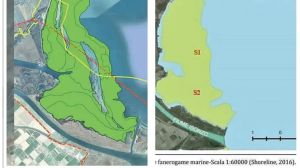 L’Università di Trieste: «Nessuna nuova prateria sul fondale marino di Monfalcone»