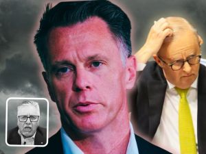 Hadley: Voters have baseball bats ready for Minns because of Albo