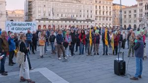 Alberi di Grignano: pressing sulla Regione contro gli abbattimenti