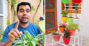 Growing Tomatoes, Peppers or Herbs in Pots? 3 Things to Get Right for a Better Harvest