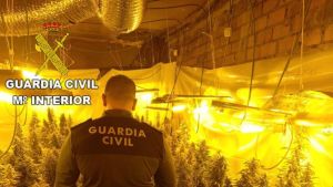 Las narcolabranzas de marihuana echan raíces en montes y campos leoneses