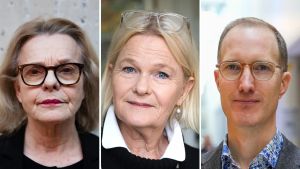 38 kulturpolitiker och profiler i upprop: ”Akut”