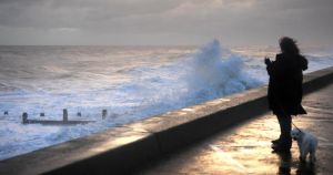 47mph winds forecast for Norfolk as autumn weather takes blustery turn