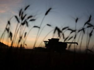 Lorne Gunter: Prairie people just want to be left alone for a while Let us get back to farming, ranching, extracting oil, running our businesses and taking care of our families.
