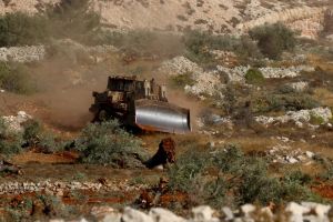 Olive theft is just one component of Israel’s colonial structure