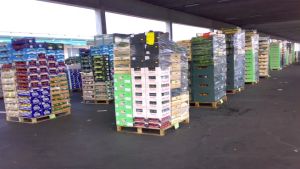 I Tir fermi al Sud svuotano le cassette di frutta e verdura nei mercati veneti