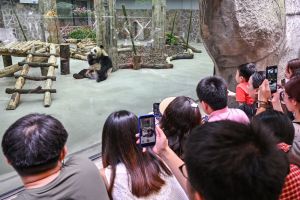 Rogue Chinese AI Really Wants to Go to the Zoo. That’s a Problem