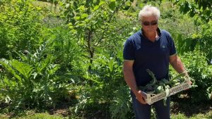 «Era in un punto cieco e non l’ho visto»: la disperazione del figlio che ha ucciso il padre col trattore