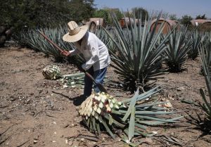 The ‘Tequila Crisis’ and Mexico’s long economic hangover