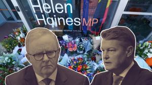 Bolt: Opportunist politicians exploiting Haines attack are just worsening this tragedy