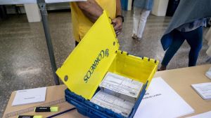 El TC renuncia a levantar la suspensión del voto de los nacionalizados por la 'ley de nietos' al rechazar el recurso del Defensor del Pueblo